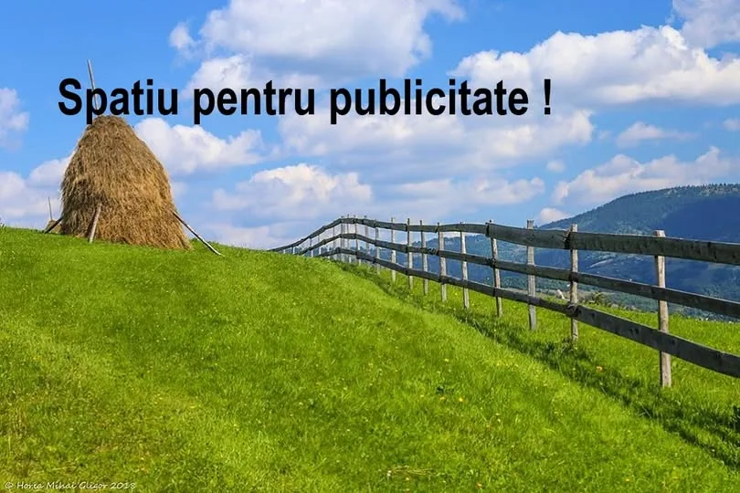 Imagine Casă cu teren 7.000 mp în Pui