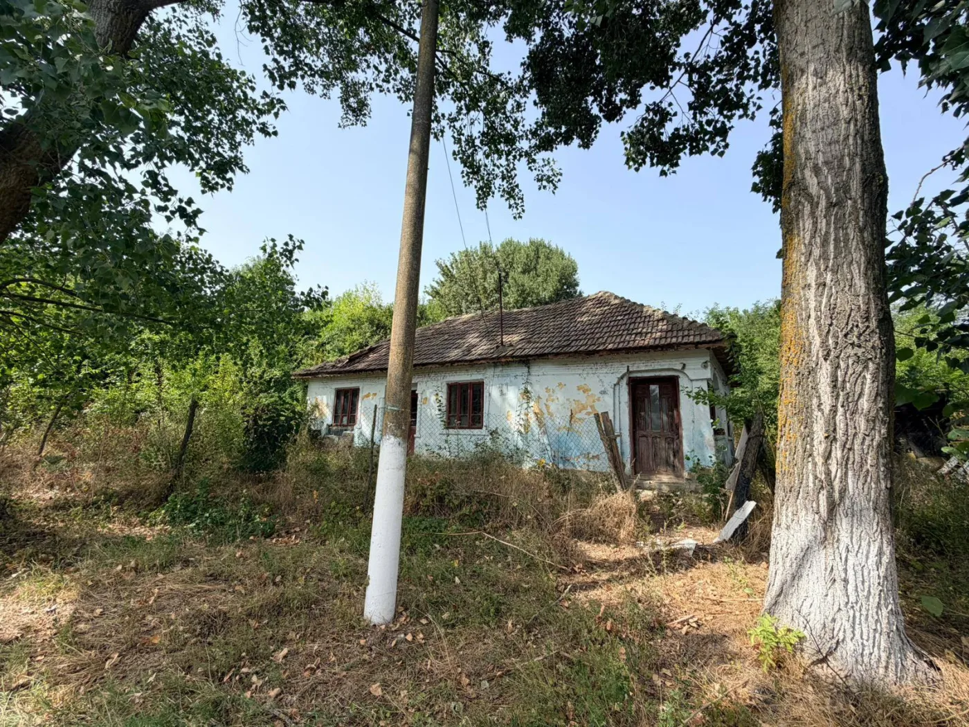 Casă cu teren 2.000 mp în Măceșu de Sus, Dolj