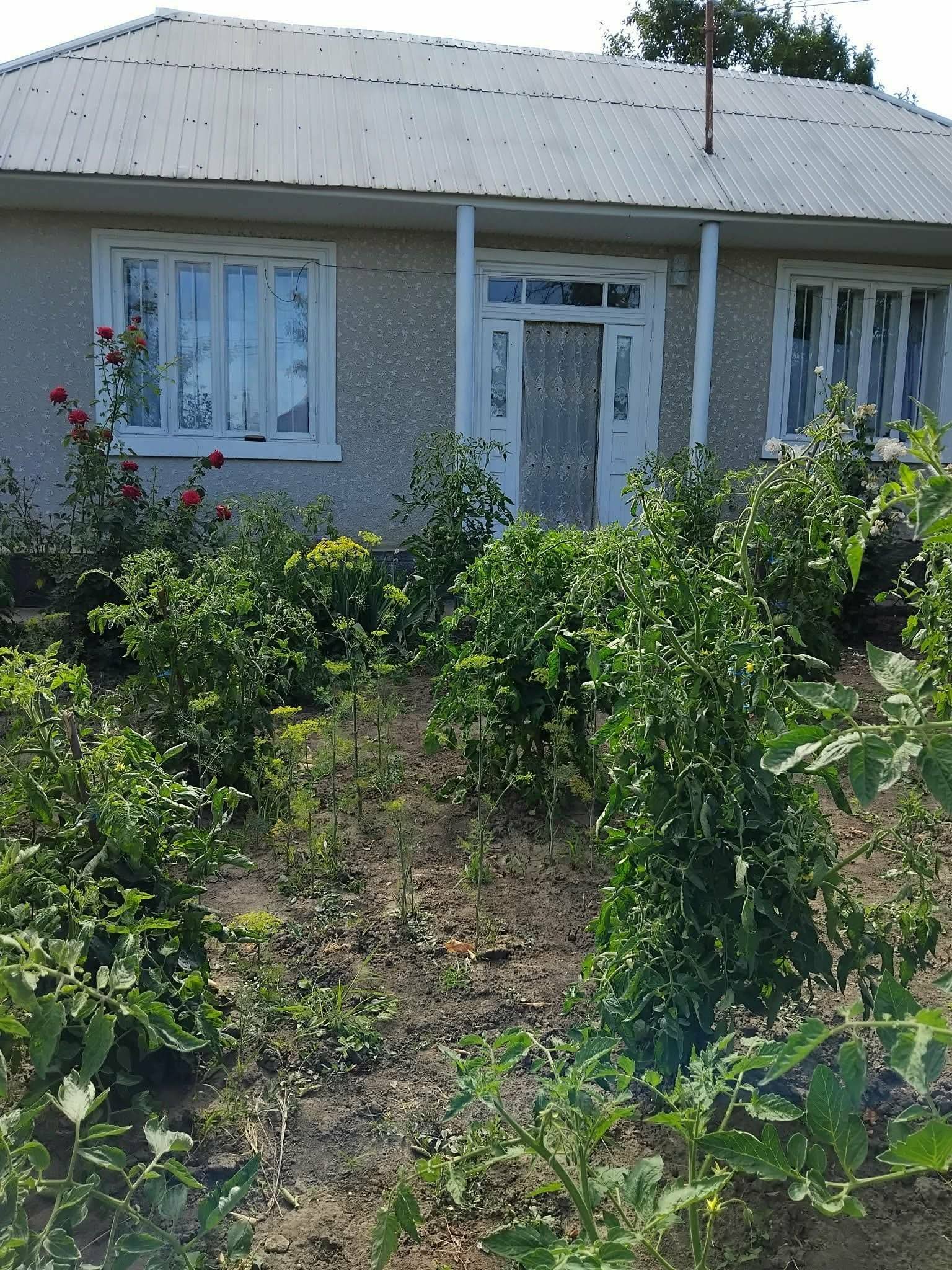 Imagine Casă cu teren 1000 mp