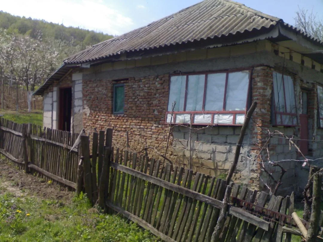 Vand tren cu mica constructie